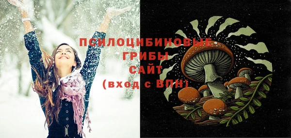 прущий лед Армянск