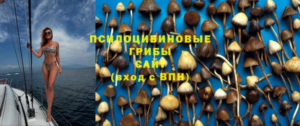 амф Аркадак