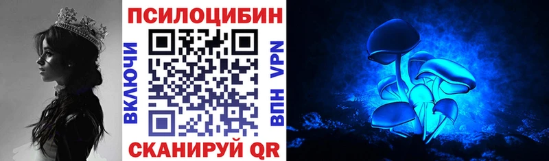 blacksprut ссылки  что такое наркотик  Белорецк  Псилоцибиновые грибы мицелий 
