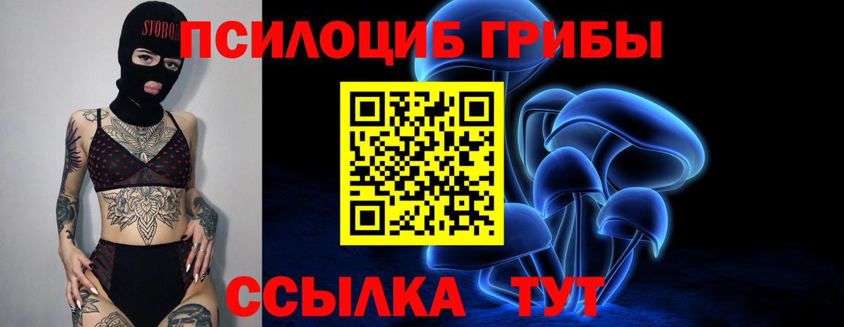 Галлюциногенные грибы Psilocybe Белорецк